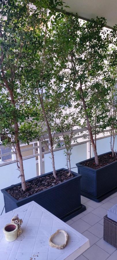 バーリGardenアパートメント エクステリア 写真